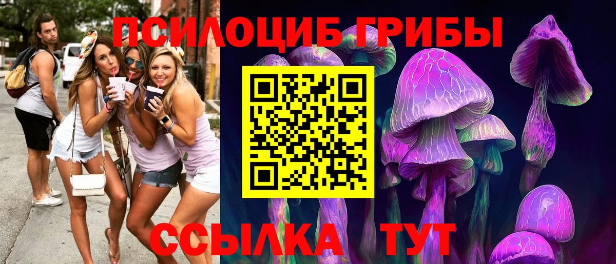 Сегежа  Псилоцибиновые грибы мухоморы  Псилоцибиновые грибы Psilocybe  Вход с VPN 